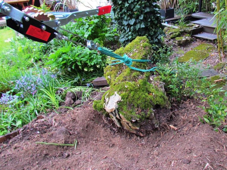 Comment redresser un arbre penché avec un tire-fort